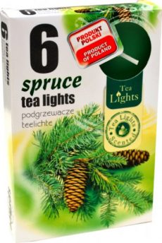 Admit Vonné čajové sviečky Spruce 6ks